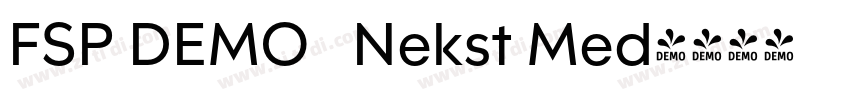FSP DEMO   Nekst Med字体转换
